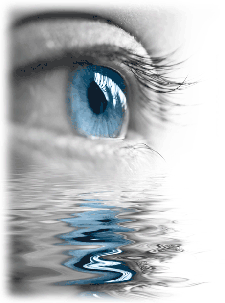 Business analysis and research